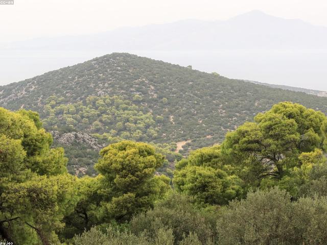 Multi-tiered user-facing conglomeration